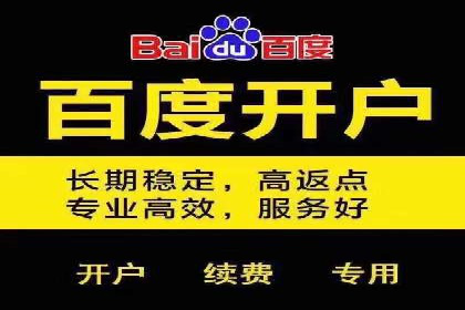 竞价托管sem的胜利果实：某零售商的营销策略